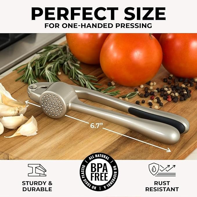 premium stainless steel garlic press set premium stainless steel garlic press set